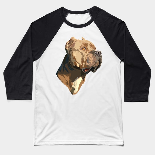 American bully XL Baseball T-Shirt by DmitryPayvinart